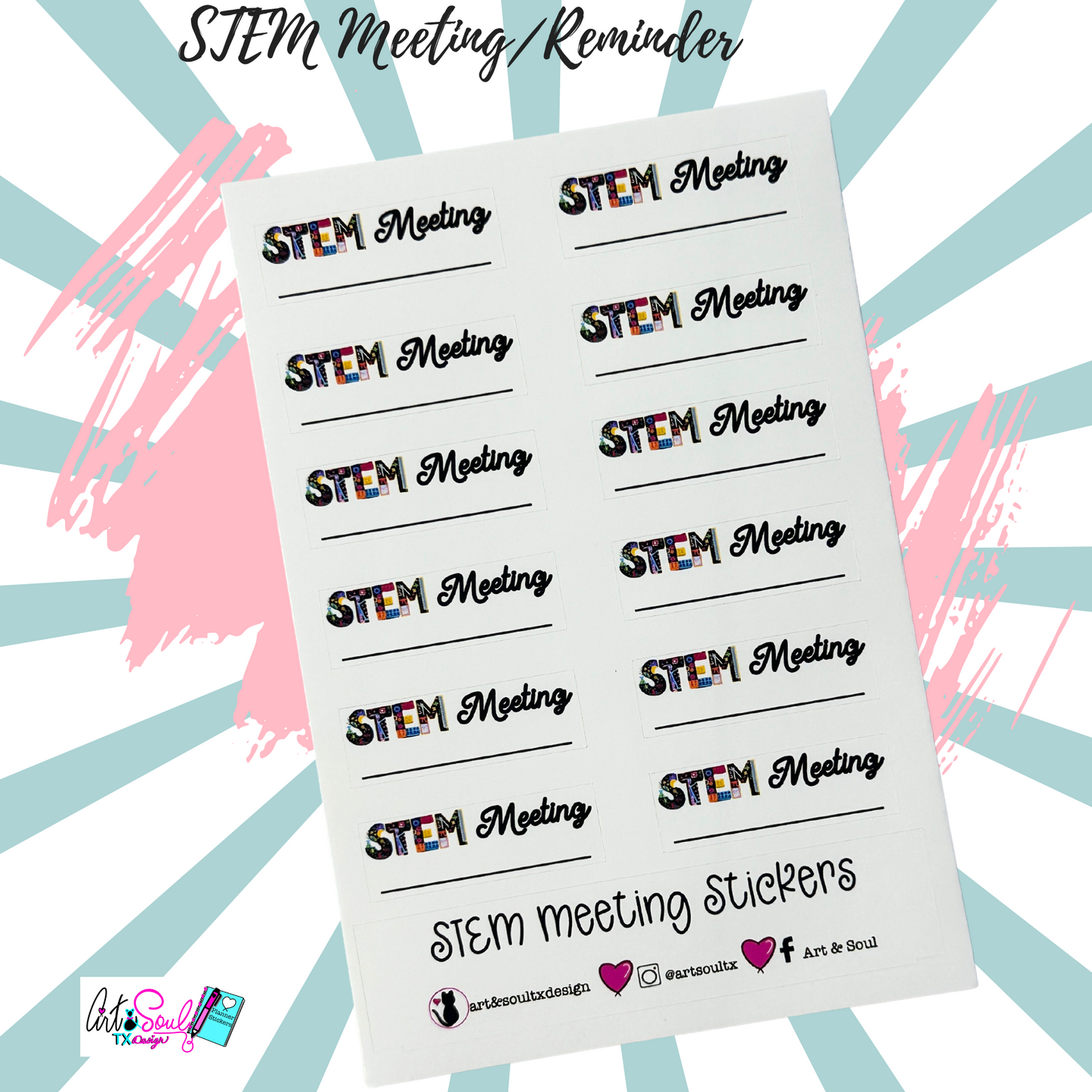 STEM Meeting