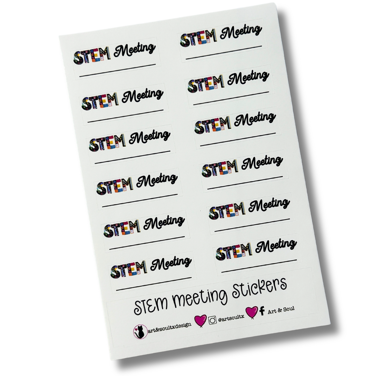 STEM Meeting