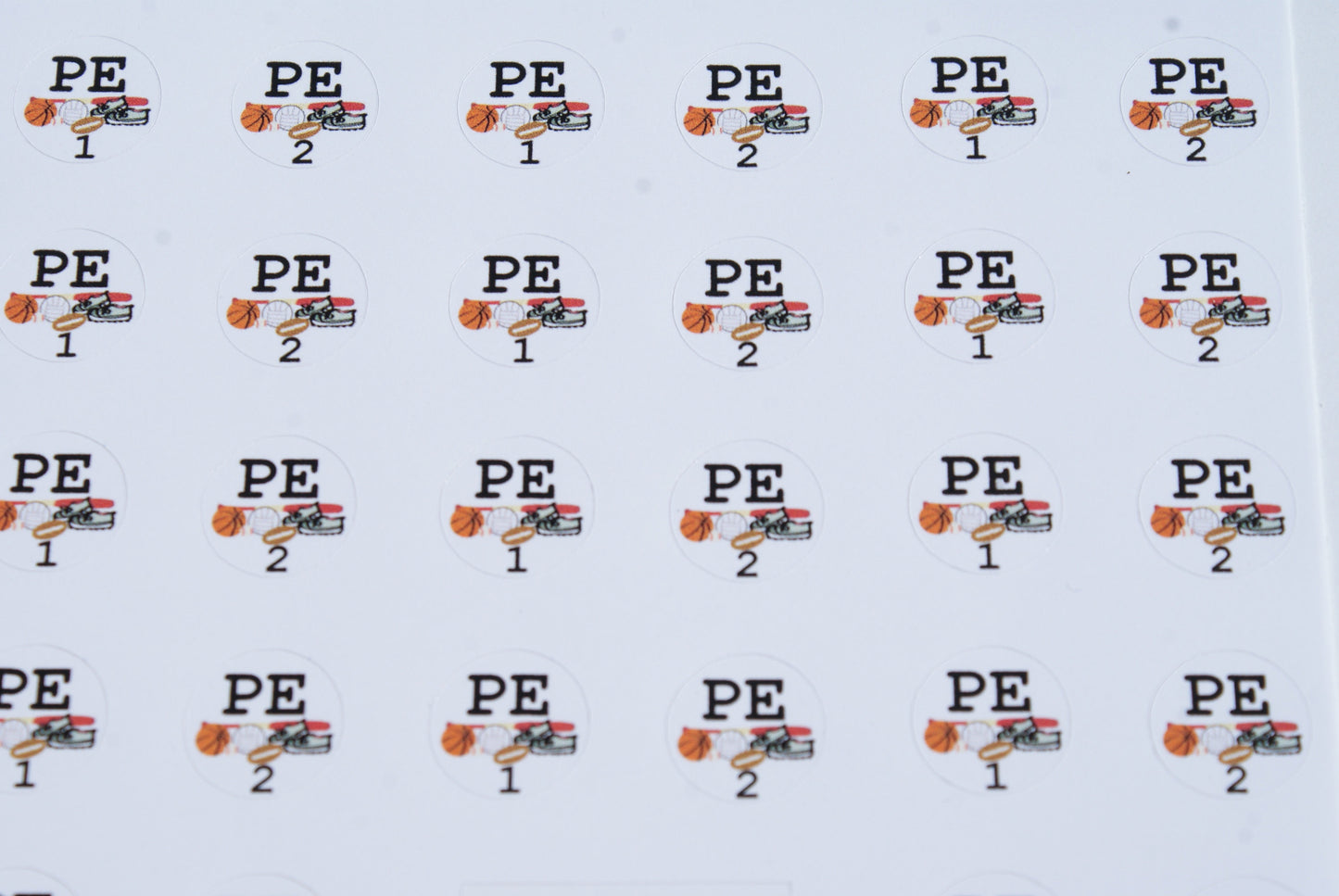 P.E. Rotation Schedule