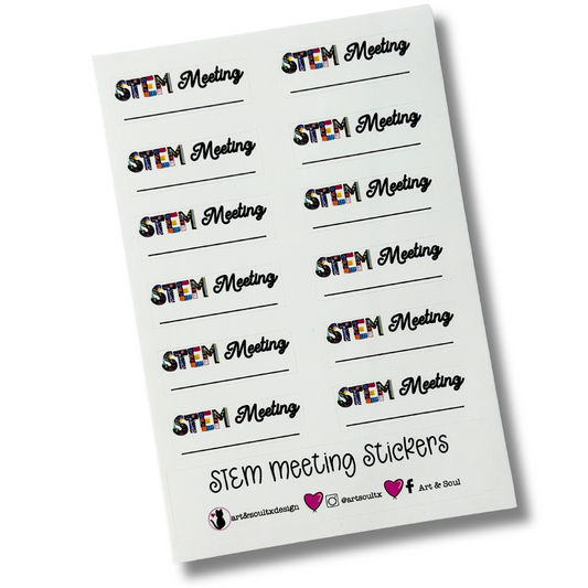 STEM Meeting